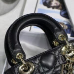 Christian Dior Micro Lady Dior Bag